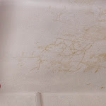 Photo n°1 de l'avis de Roberto.a fait le 24/08/2019 à 05:52 sur le  San Rocco - B. & B. à Celleno