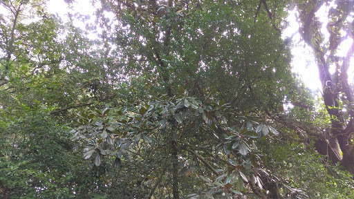 Park «Lavretta Park», reviews and photos, 200 Parkway St W, Mobile, AL 36608, USA