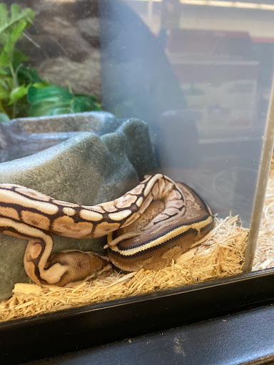 Pet Supply Store «Petco Animal Supplies», reviews and photos, 50 Ernest W Barrett Pkwy NW #500, Marietta, GA 30066, USA