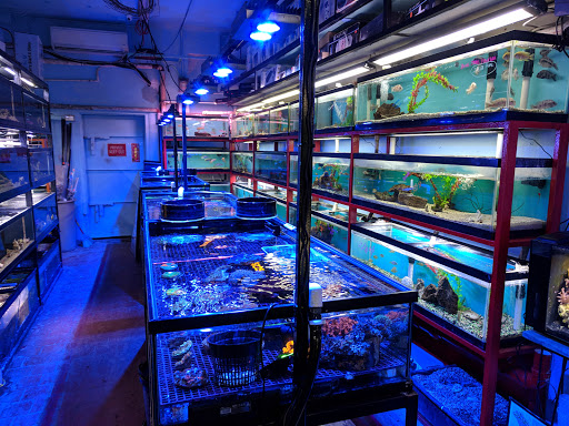 Aquarium «Pacific Aquarium & Plant Inc», reviews and photos, 46 Delancey St #1, New York, NY 10002, USA