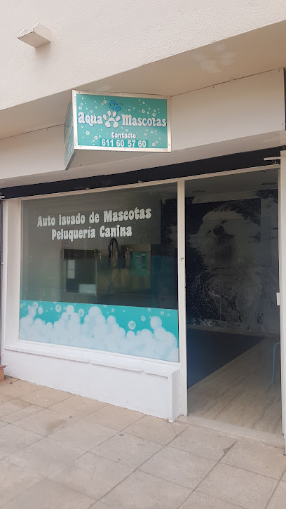 Aquamascotas, peluquería canina - Servicios para mascota en Calvià