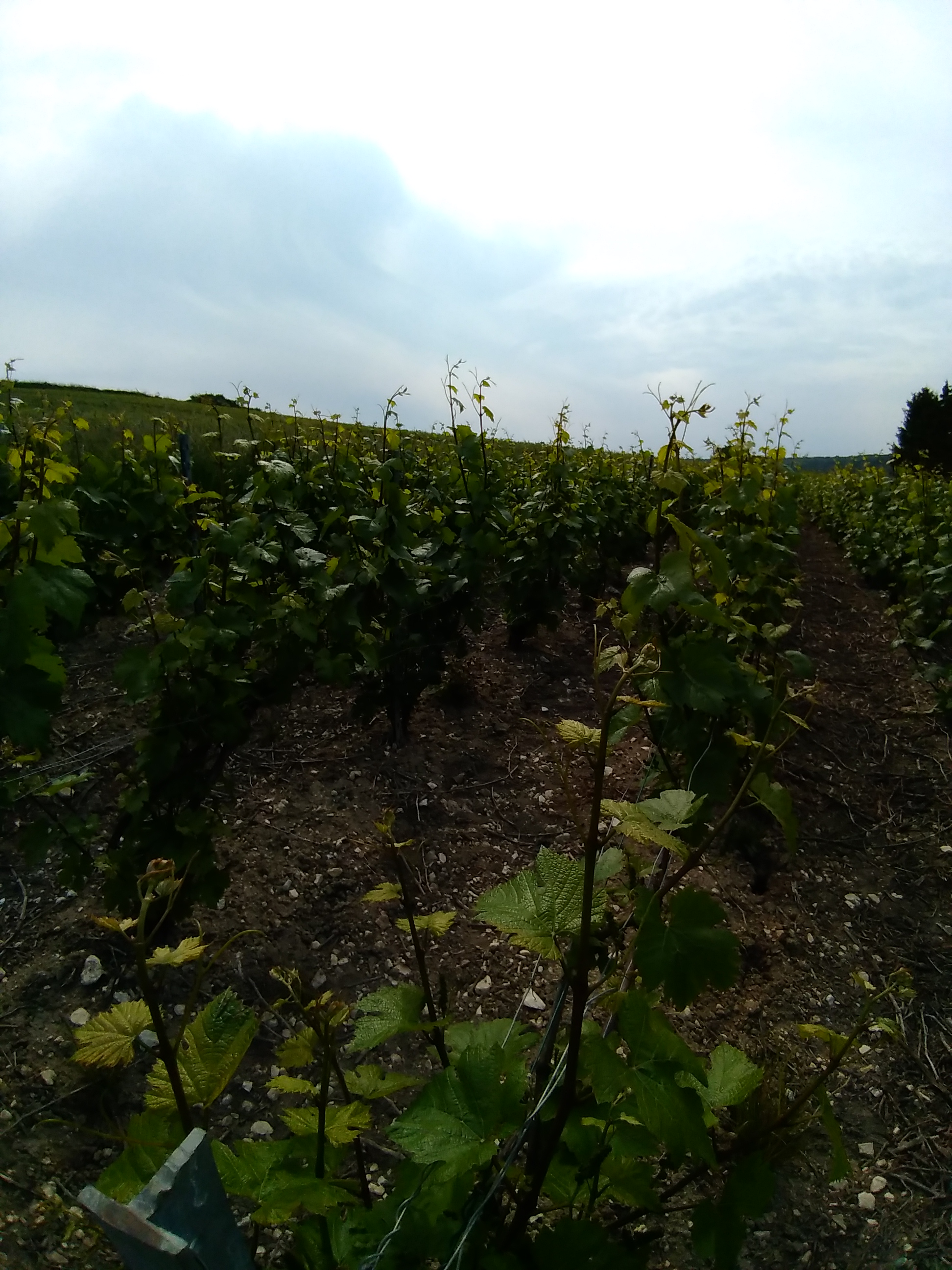 Photo n° 4 de l'avis de F.a fait le 09/08/2018 à 03:25