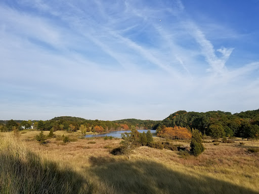 Nature Preserve «Saugatuck Harbor Natural Area», reviews and photos, Oval Dr, Saugatuck, MI 49453, USA