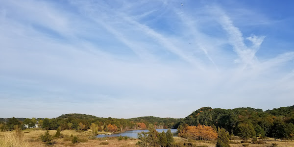 Saugatuck Harbor Natural Area