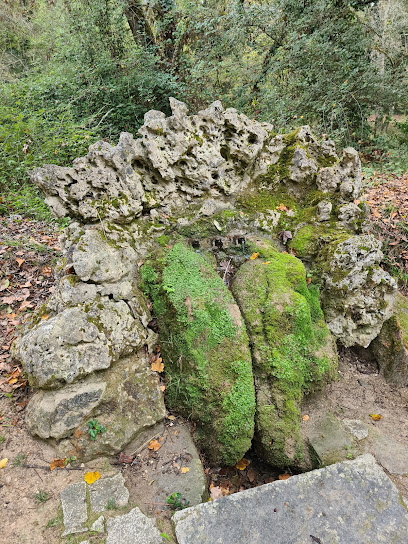 La Fontaine aux Grenouilles
