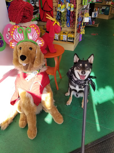 Pet Supply Store «The Dog Store», reviews and photos, 2301 Mt Vernon Ave, Alexandria, VA 22301, USA