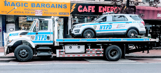 Pet Supply Store «Petland Discounts - Sutphin Blvd», reviews and photos, 147-17 Jamaica Ave, Jamaica, NY 11435, USA