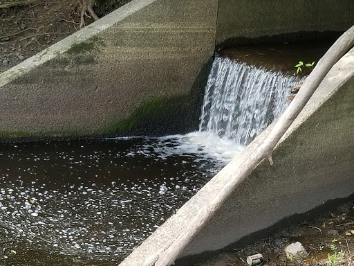 National Reserve «Montezuma National Wildlife Refuge», reviews and photos, 3395 US-20, Seneca Falls, NY 13148, USA