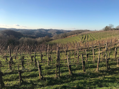 Camin Larredya à Jurançon