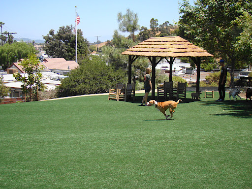 Gordon Street Dog Park