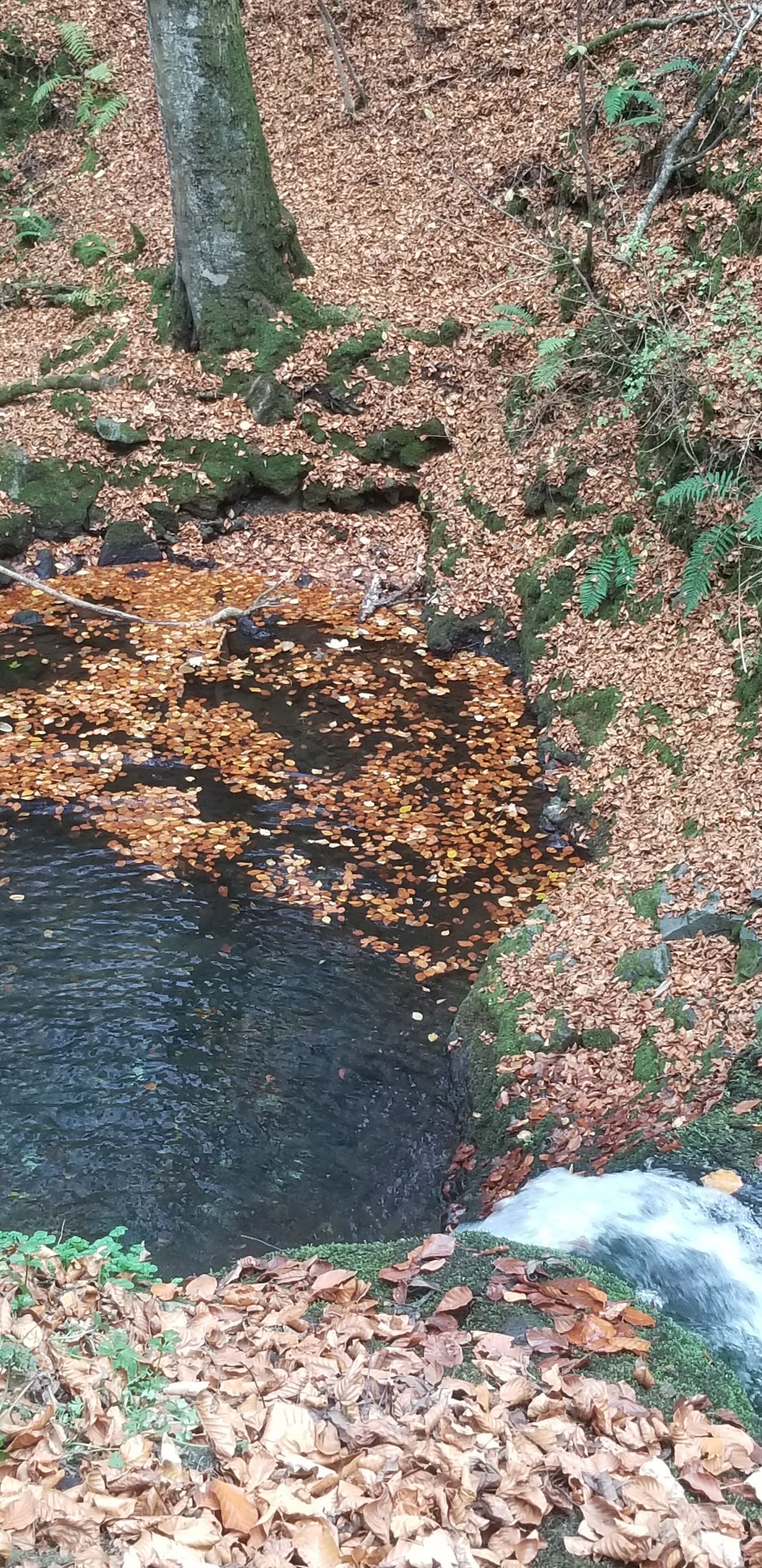Photo n° 22 de l'avis de Céline.O fait le 31/10/2022 à 19:54