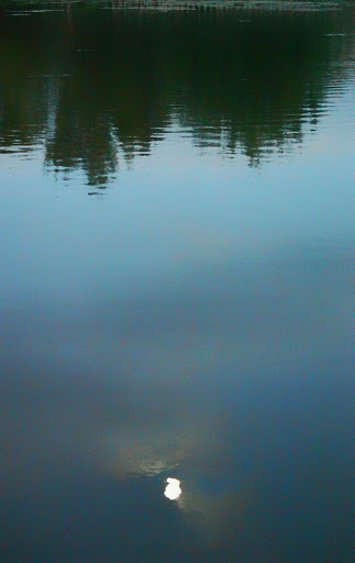 Park «Commonwealth Lake Park», reviews and photos, SW Butner Rd & SW Huntington Ave, Cedar Hills, OR 97225, USA