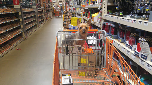 Home Improvement Store «The Home Depot», reviews and photos, 14000 Georgia Avenue, Aspen Hill, MD 20906, USA