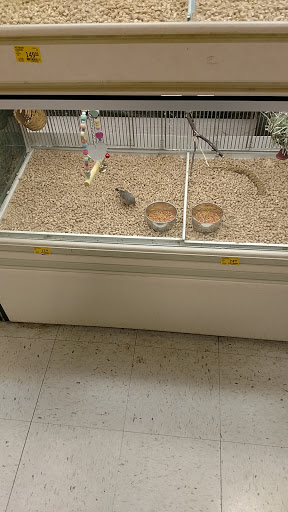 Pet Supply Store «PetSmart», reviews and photos, 1715 SE Delaware Ave, Ankeny, IA 50021, USA