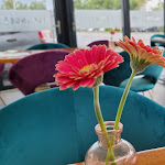 Photo n°2 de l'avis de Mike. fait le 09/08/2021 à 22:16 sur le  Gatsby am Yachthafen à Remagen