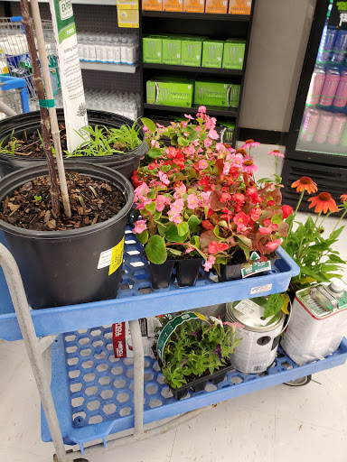 Discount Store «Walmart», reviews and photos, 255 W Main St, Avon, CT 06001, USA