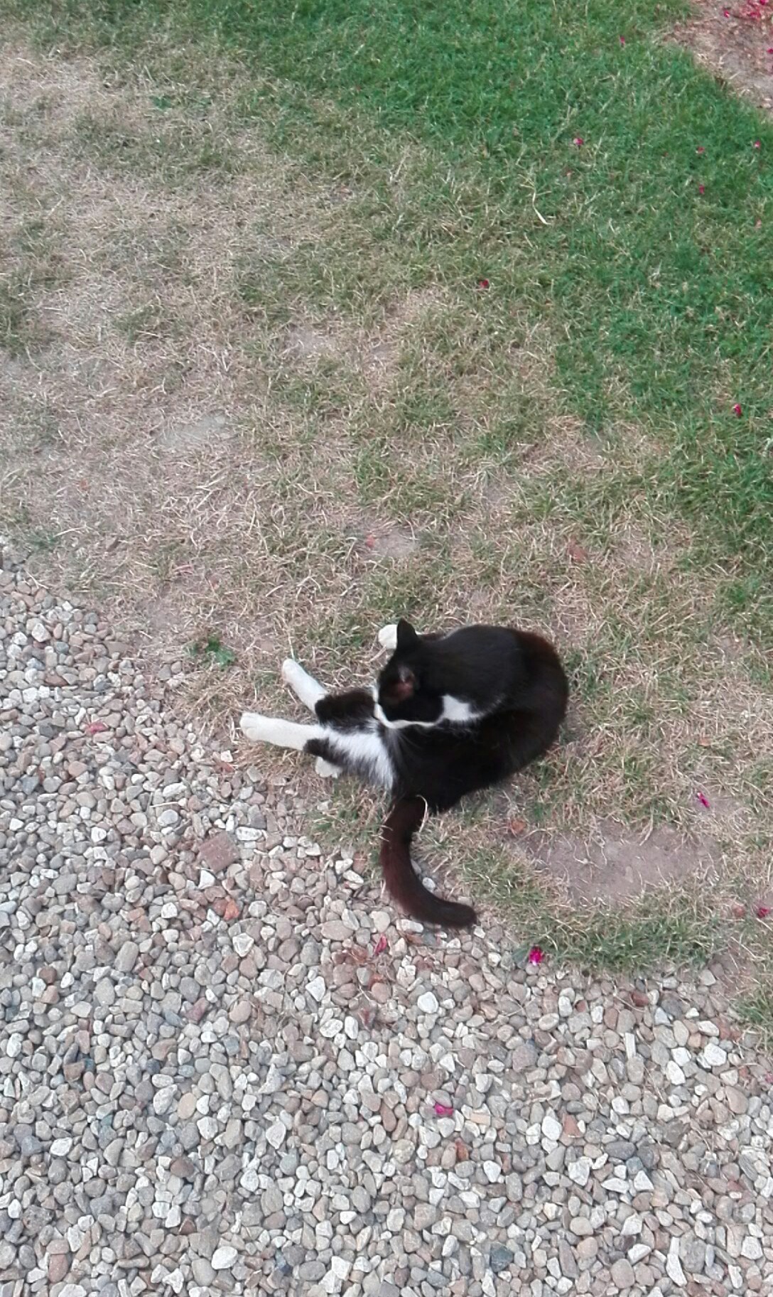 Photo n° 5 de l'avis de Jean.E fait le 24/07/2019 à 20:48