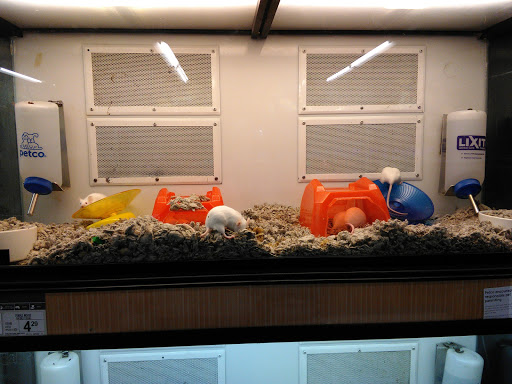 Pet Supply Store «Petco Animal Supplies», reviews and photos, 200 Triangle Shopping Center #230, Longview, WA 98632, USA