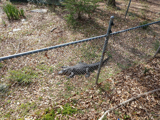 Government Office «Bear Hollow Wildlife Trail», reviews and photos, 293 Gran Ellen Dr, Athens, GA 30606, USA