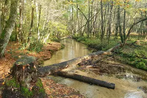 Furlbachtal Nature Reserve image