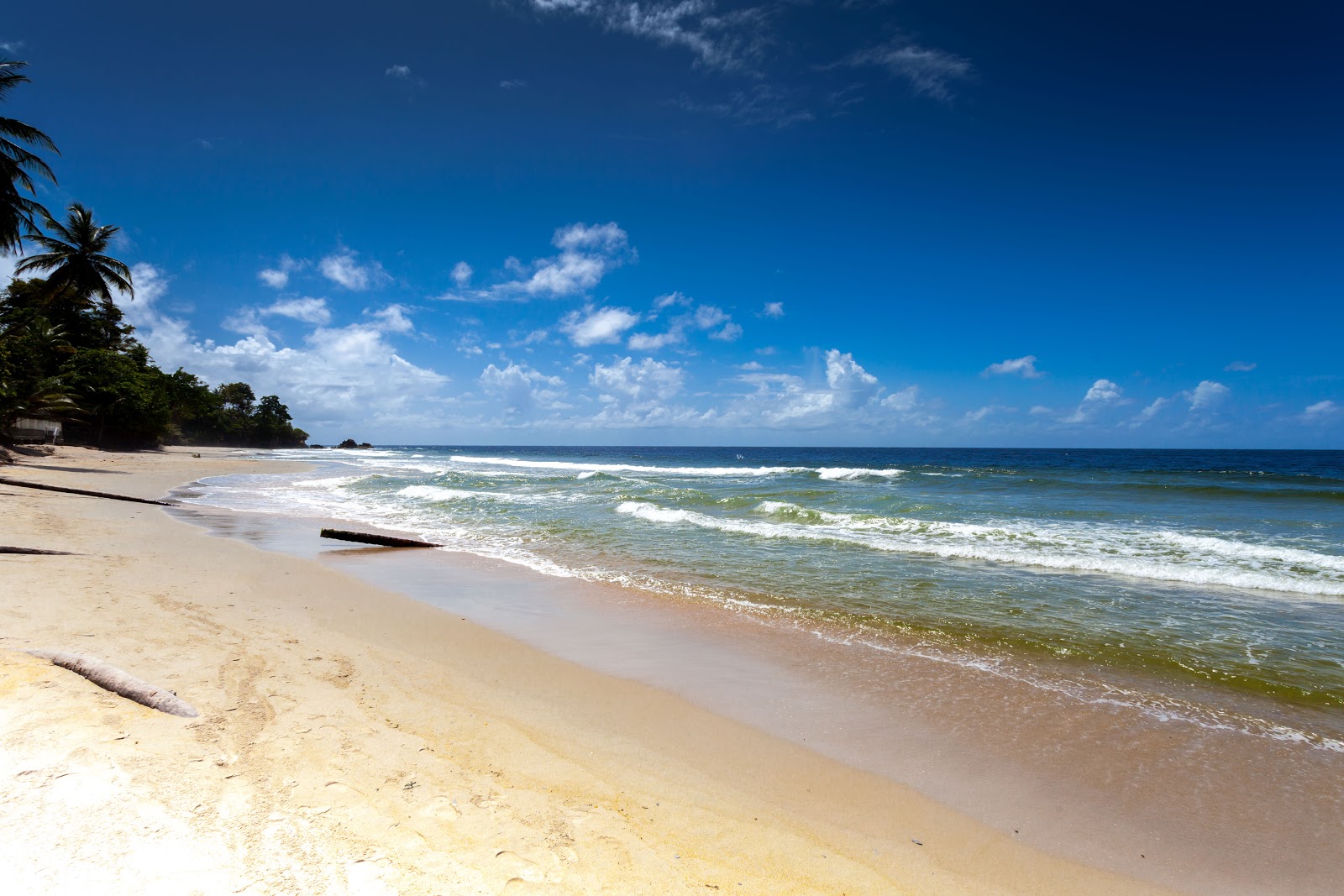 Φωτογραφία του Blanchisseuse Bay με φωτεινή άμμος επιφάνεια
