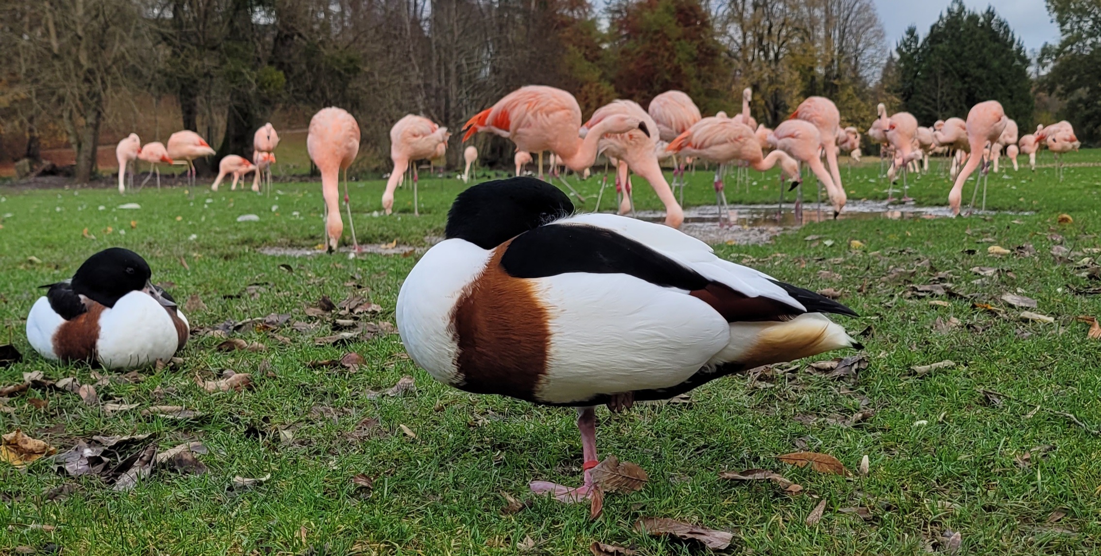 Photo n° 10 de l'avis de Sophie.a fait le 22/11/2023 à 15:36