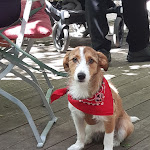 Photo n°3 de l'avis de Constanze.. fait le 22/05/2022 à 16:53 sur le  Restaurant Gartenküche à Berlin