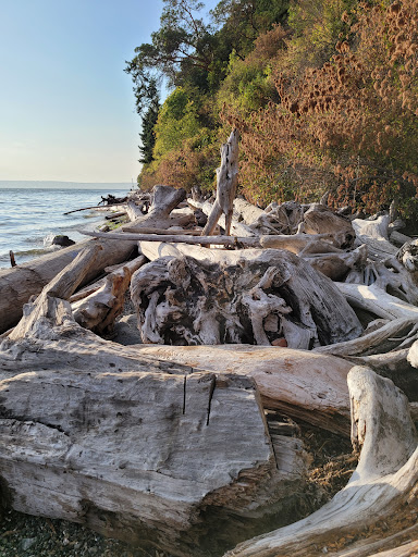 Park «Marine View Park», reviews and photos, 20945 Marine View Dr SW, Normandy Park, WA 98166, USA