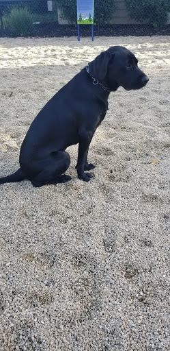 Pet Supply Store «Unleashed by Petco», reviews and photos, 4460 Tassajara Rd a, Dublin, CA 94568, USA