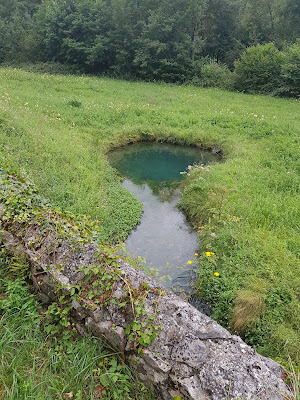Viviers de Rebenacq à Rébénacq