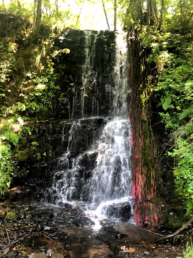 Coopey Falls