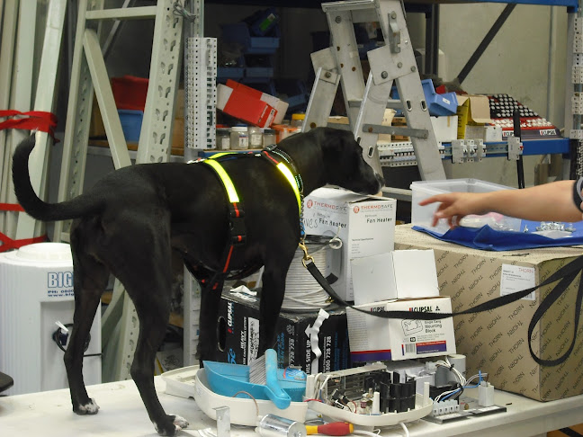 Comments and reviews of NZ Detector Dogs