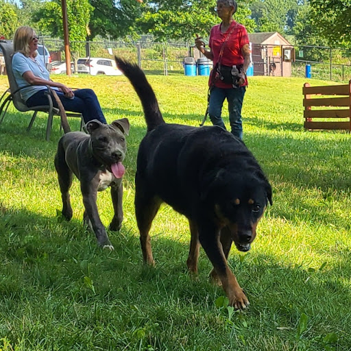 Dog Park «Worthington Off Leash Dog Park», reviews and photos, 8170 Hillsborough Rd, Ellicott City, MD 21043, USA