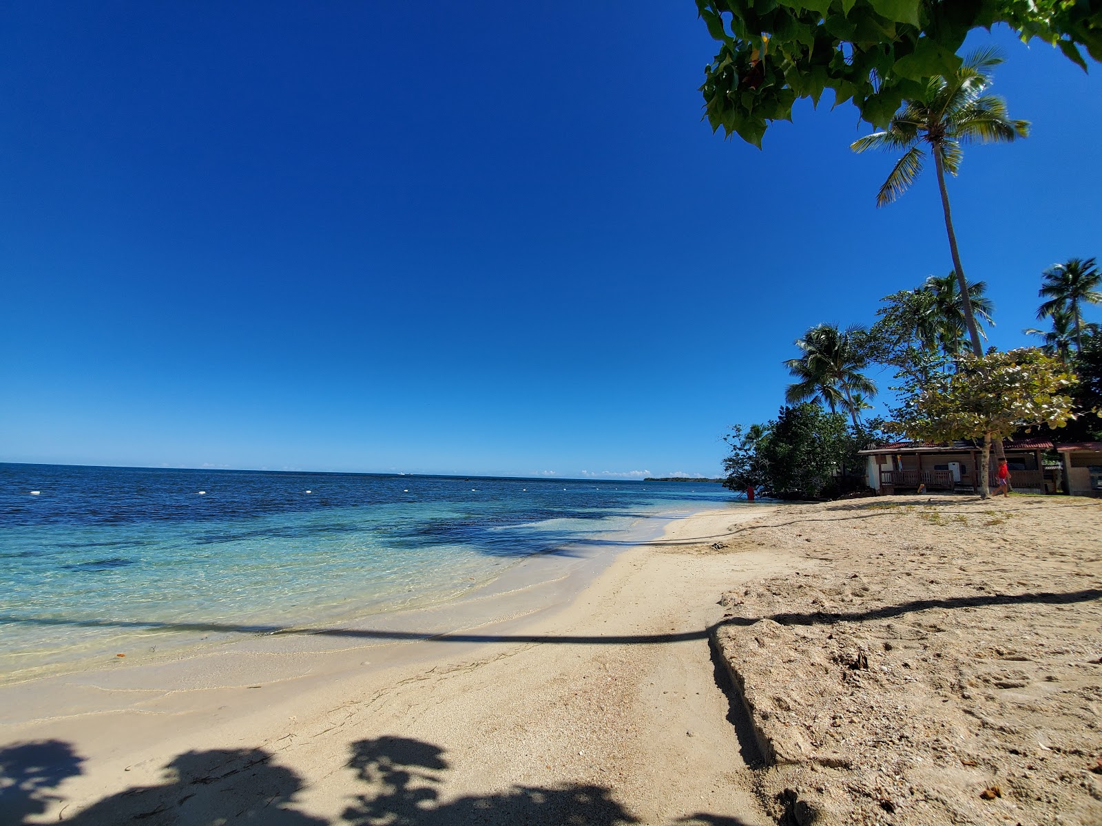 Foto di Playa La Mela con una superficie del sabbia beige fine