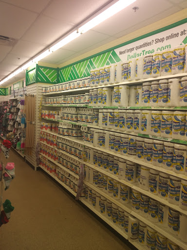 Dollar Store «Dollar Tree», reviews and photos, 4420 Jonesboro Rd, Forest Park, GA 30297, USA