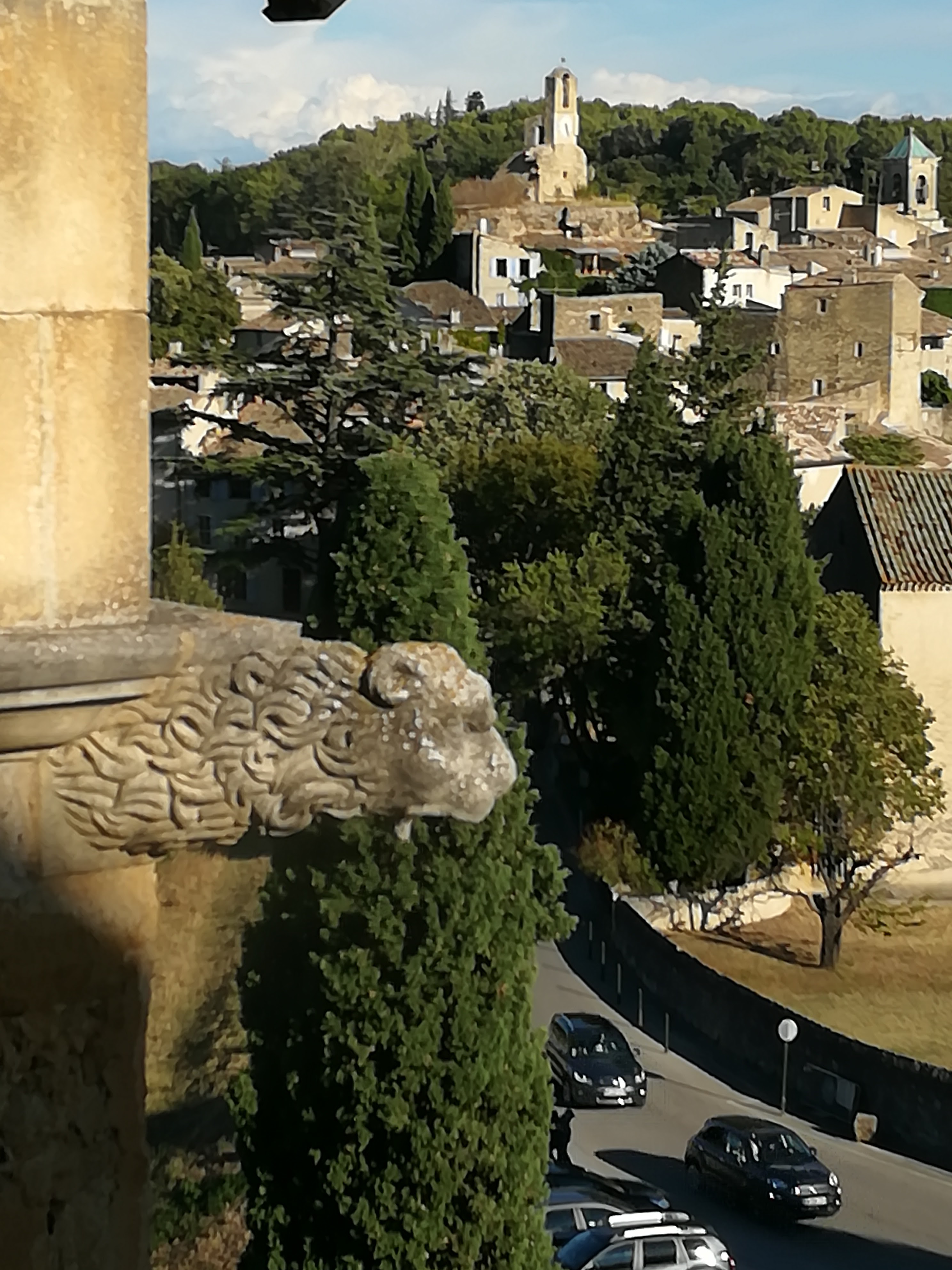 Photo n° 7 de l'avis de Momo.e fait le 21/09/2017 à 17:00