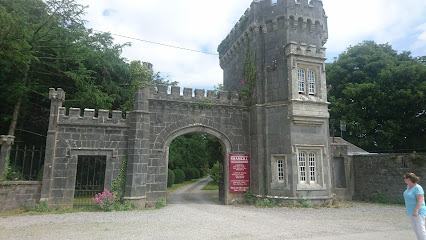 Shankill Castle