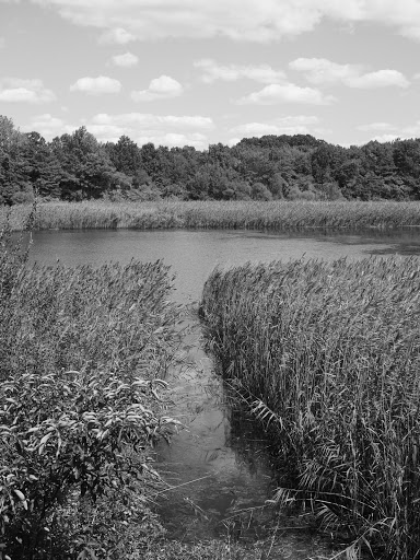 Park «Highland Park», reviews and photos, Interboro Pkwy, Brooklyn, NY 11208, USA