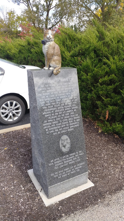 Pirate Cat Memorial