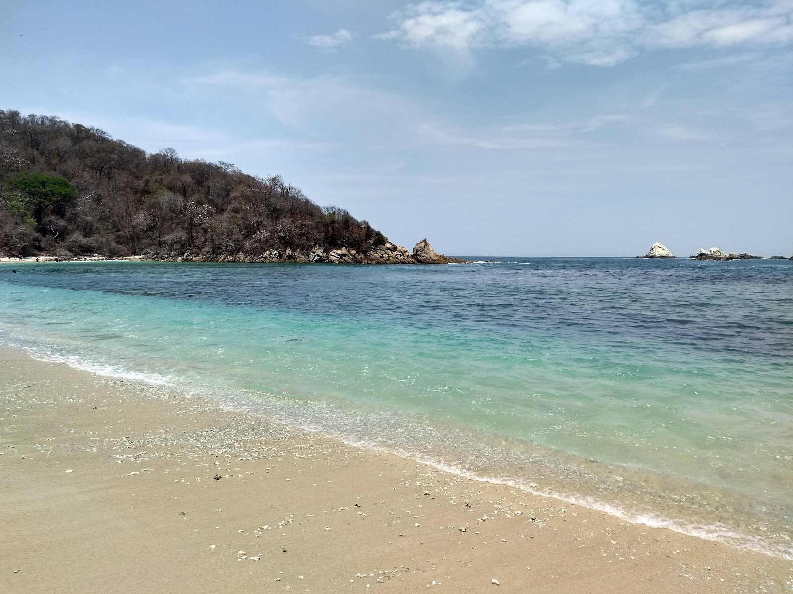 Fotografie cu Riscalillo beach amplasat într-o zonă naturală