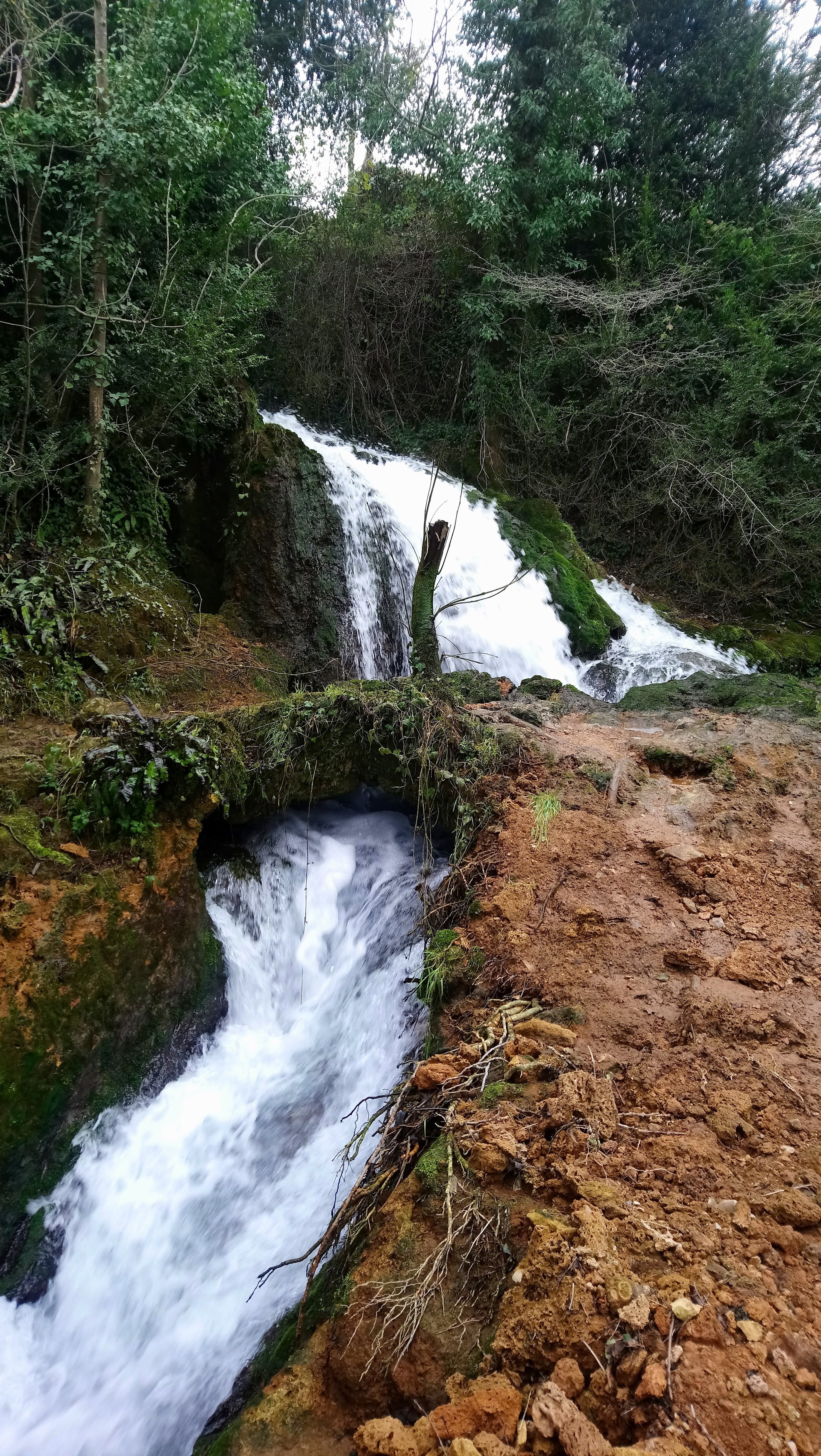 Photo n° 14 de l'avis de Philippe.E fait le 25/02/2018 à 16:42