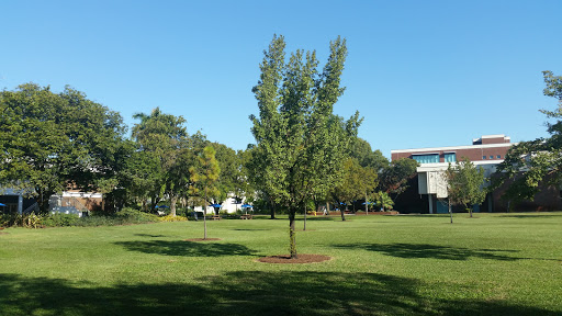 Concert Hall «Bailey Hall», reviews and photos, 3501 SW Davie Rd, Davie, FL 33314, USA