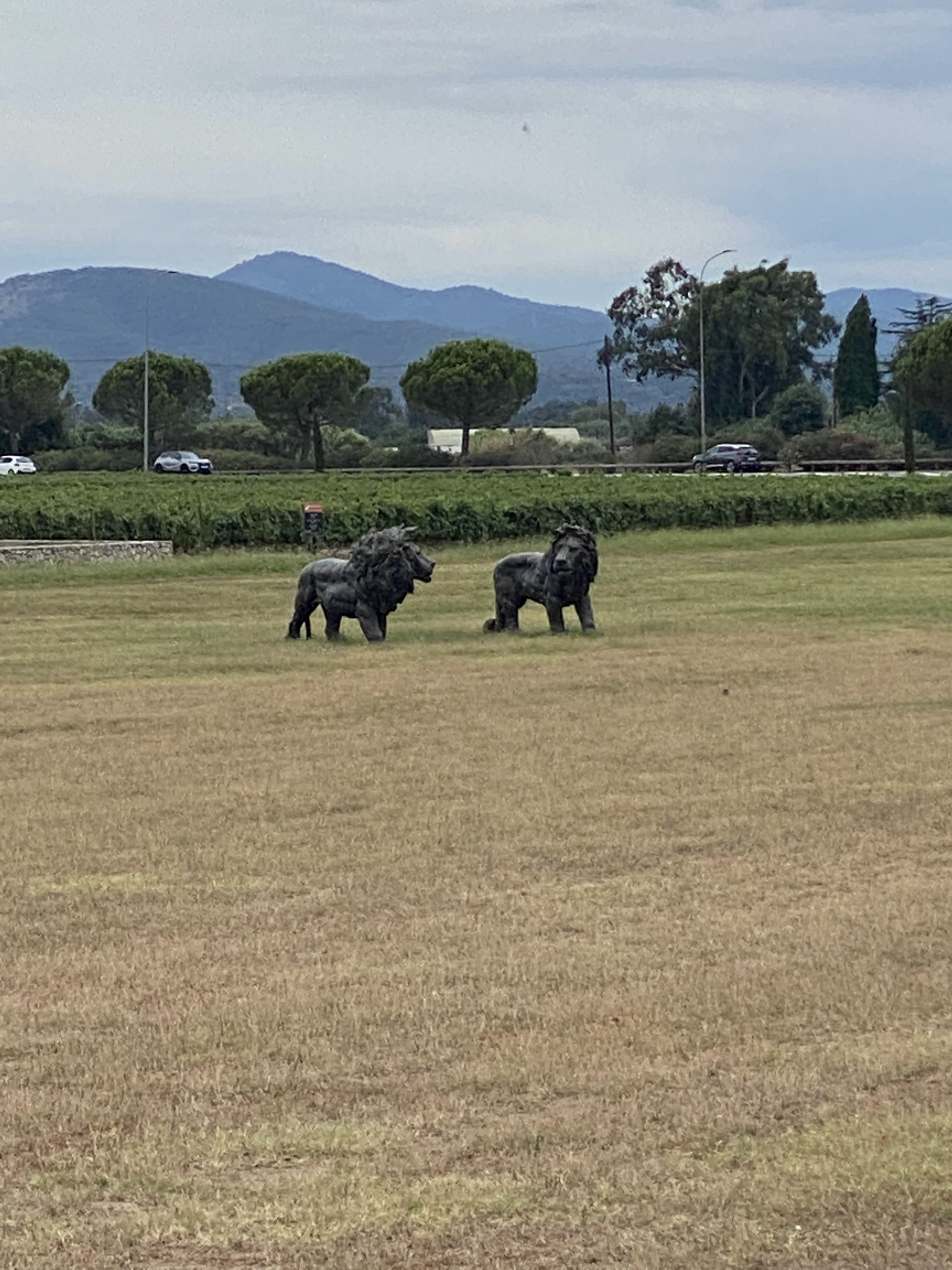 Photo n° 9 de l'avis de Frédéric.c fait le 14/08/2022 à 15:52