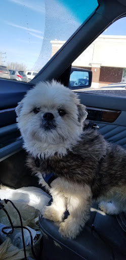 Pet Supply Store «PetSmart», reviews and photos, 3401 Erie Blvd E, Syracuse, NY 13214, USA