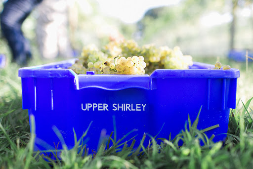 Winery «Upper Shirley Vineyards», reviews and photos, 600 Shirley Plantation Rd, Charles City, VA 23030, USA