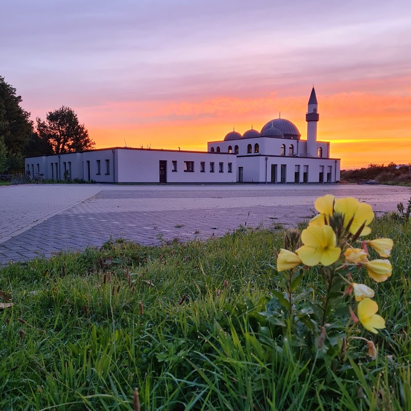 Ravza-Moschee