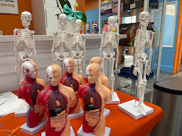 Stemtree of Diamond Bar - Photo 9 - Car repair in Diamond Bar, CA, Pomona