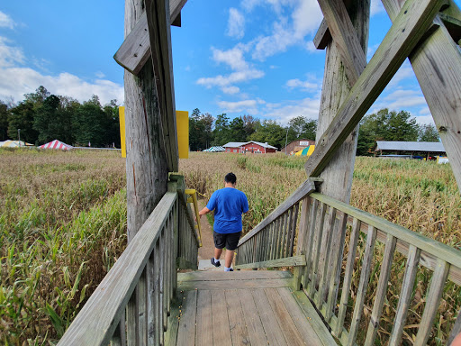 Farm «Buford Corn Maze.», reviews and photos, 4470 Bennett Rd, Buford, GA 30519, USA