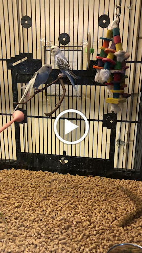 Pet Supply Store «PetSmart», reviews and photos, 190 Rt 10 West, East Hanover, NJ 07936, USA