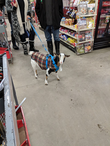 Home Improvement Store «Tractor Supply Co.», reviews and photos, 4601 E Grand River Ave, Howell, MI 48843, USA